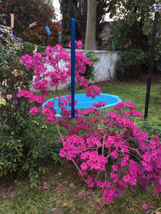 B&B Polo (Adults Only) Villa Maipu Dış mekan fotoğraf